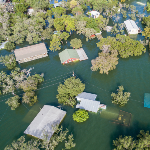 Business Interruption